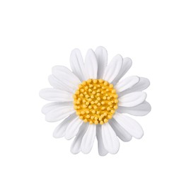 Oenothera Enamel Lapel Pin Enamel Flower Brooch Daisy Flower Brooches Pin Brooches for Sweaters Scarves Dresses Suits Bags Backpacks, Metal