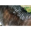Farriers Equine Care Farriers Equine Care Benzyl Benzoate Cream 500ml