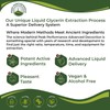 Liquid Mullein Leaf Drops – Herbal Respiratory Support, Natural Lung