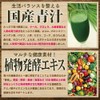 青汁酵素粒 大容量約6ヶ月分/360粒（ケール・クロレラ・大麦若葉などの青汁、酵素、スピルリナ、フィッシュコラーゲン）