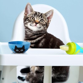 Fromm Gold Nutritionals Kitten Dry Food, 4lb.