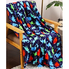 DynoTime by Décor&More Microplush Throw Blanket (50" x 60") - Dinosaur Paradise