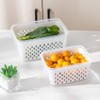 2 Pack Fruit Storage Containers for Fridge with Removable Drain