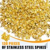 130 Pack 3/16 Inch Stainless Steel Pyramid Track Spikes with