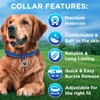 TECEUM Reflective Dog Collar – Navy Blue – M –