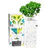 Dresden Onlineshop Bottlecrop Salad from the Bottle, Cultivation System, Urban