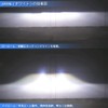 D4S HID Bulb 6500K 35W Genuine Replacement Vehicle Inspection Compatible