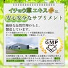 Ribet Corporation Ginkgo Leaf Extract Plus 30 Day Supply DHA