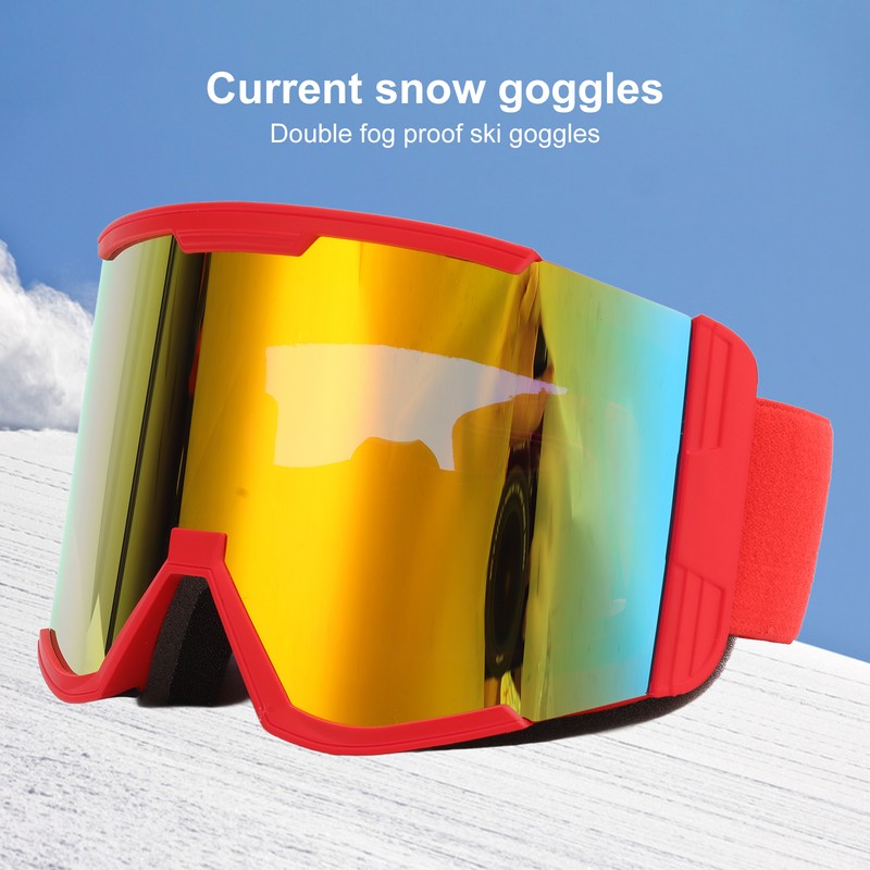 Adult Ski Goggles Double Layer Anti Fog Large Field Cylindrical