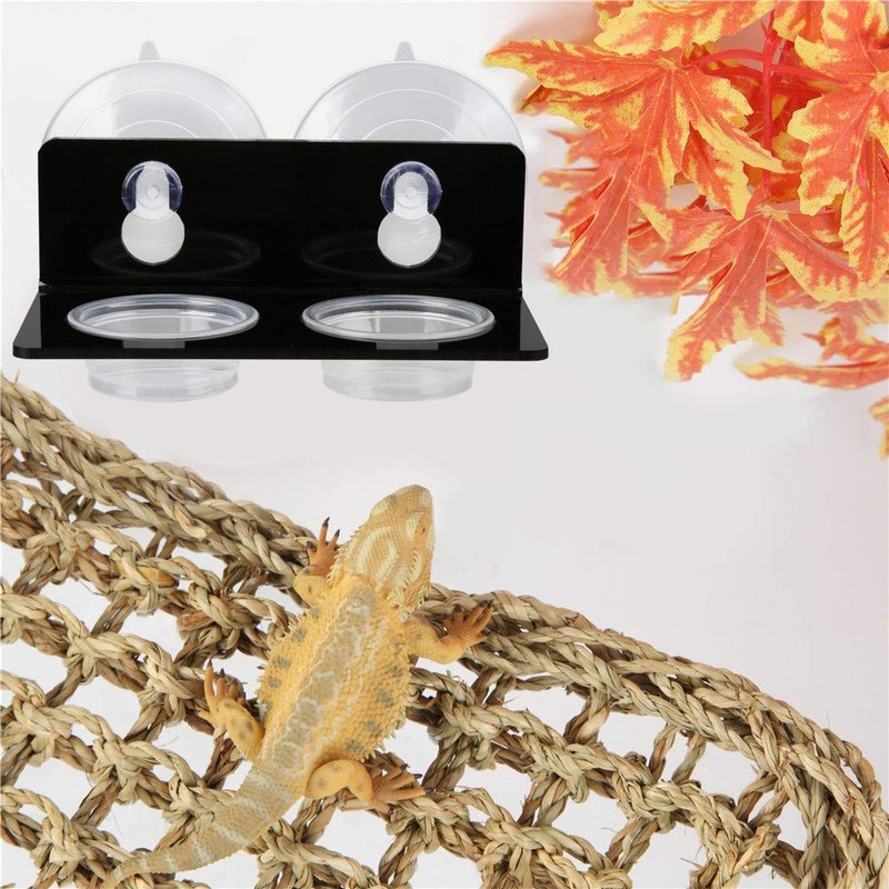 SLSON Gecko Feeding Ledge Acrylic Suction with 20 Pcs 0.5oz