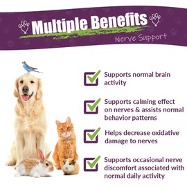 Amber NaturalZ DermaNERV Herbal Supplement for Dogs, Cats, Birds, Rabbits, and Guinea Pigs | Supports Central Nervous System | Balanced Behavior | Healthy Nerve Functions 1 Fluid Ounces