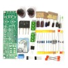 Kit Gainclone 3875 Lm3875 50w+50w 8ohm Placa Amplificadora