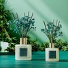 COCORRÍNA Reed Diffuser - Cashmere Vanilla 17 Fl.oz Reed Diffuser