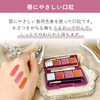 Kureru Mediherb Rouge Prandl Replacement (Rose) 140007 Edible Lipstick, Moisturizing,