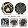 10 Year Sobriety Coin Tree of Life AA Coin Alcoholics