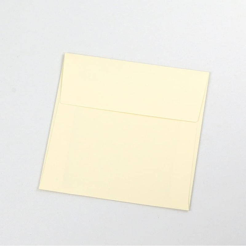 Yamadaya Display Paper Photo Frame, Photo Mount, Plain Cover, 89