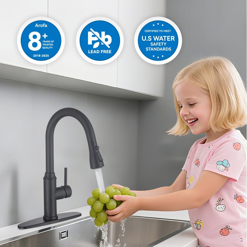 Matte Black Kitchen Faucet with Pull Down Spayer Arofa Single