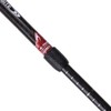 Mountainsmith Andesite Trekking Pole Pair - Carbon