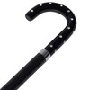Ladies Crook Cane Black Shaft, Plexi Handle -Affordable Gift! Item