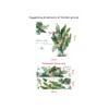 Fujitoya Flower Green Leaves Birds Plants Green Flower Wall Sticker