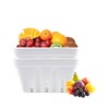 Ceramic Berry Basket Set of 2 Square Fruit Bowl with
