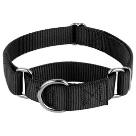 Country Brook Petz Martingale Dog Collar - Heavy-Duty Training Collar with No Buckle - Service Dog Collar for All Pups - Vibrant, Colorful Collection (Black, 3/4 Inch, Small)
