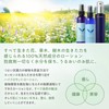 Vertou 203 Peppermint Hydrolat 125ml (Lotion/Refreshing)