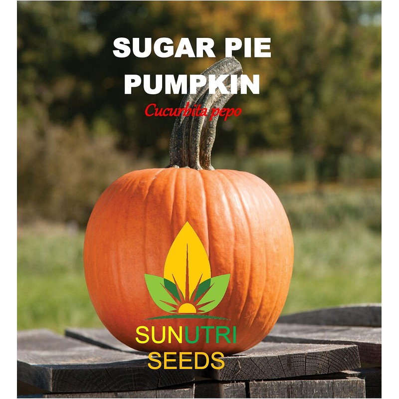 Pumpkin Seeds, 25+ Sugar Pie, Heirloom, Non GMO Seeds, Cucurbita