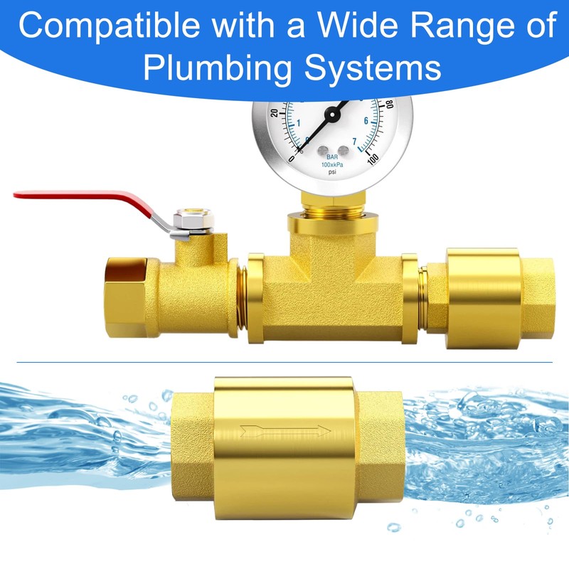 1 Inch Check Valve - PN25 Internal Thread Brass Backflow