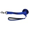 Downtown Pet Supply 2ft Heavy-Duty Dog Leash - Padded Comfort