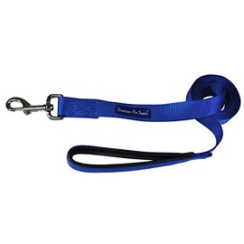 Downtown Pet Supply 2ft Heavy-Duty Dog Leash - Padded Comfort Handle & Stainless Steel Fastener - 0.75in Wide Blue Leash