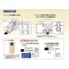 Mass Pro Denko AP7W(W)-P 4K Compatible Antenna Plug Direct Mount