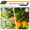 CREATE BRIGHT 16W Dimmable ST64 Led Bulbs 5000K Daylight White