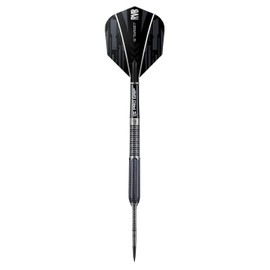 Target Darts 21G Raymond Van Barneveld 95% 21G Steel Tip Darts 2017