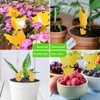 LFSYS 64 Pcs Yellow Sticky Traps for Indoor Plant Pest