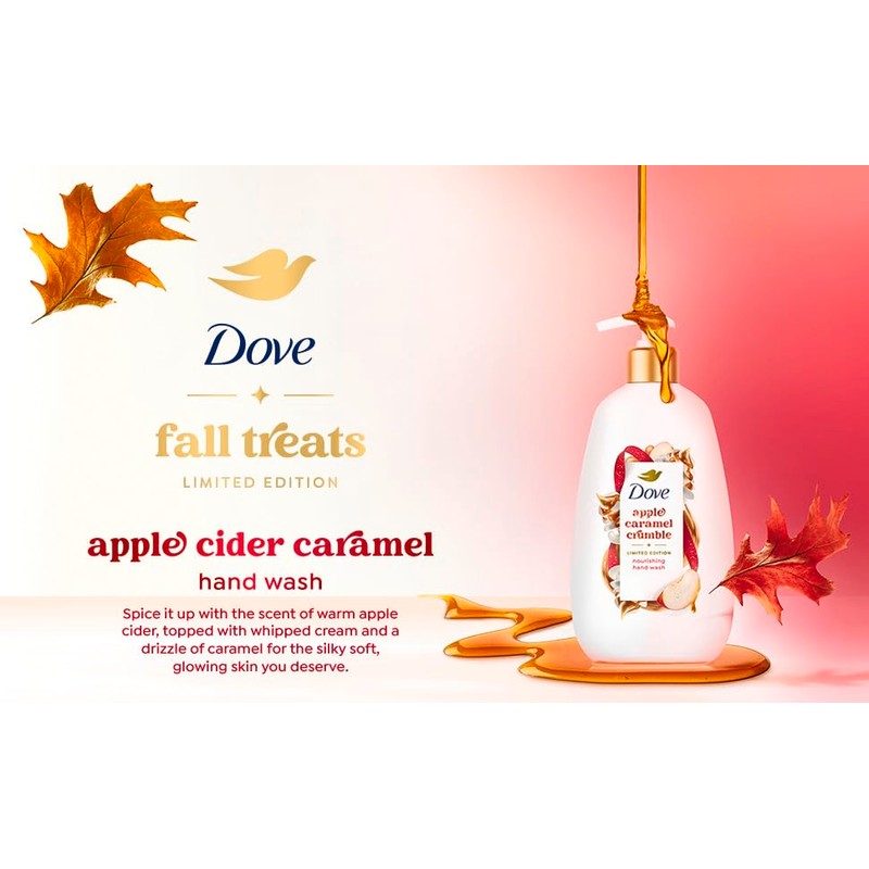 Dove Limited Edition Holiday Treats Liquid Hand Wash for Deep