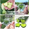 Cucumber Mold, Star Shape, Heart Shape, Deco Cucumber Star and