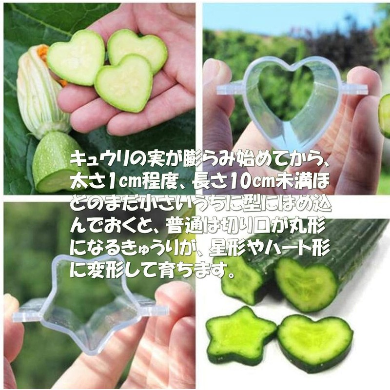 Cucumber Mold, Star Shape, Heart Shape, Deco Cucumber Star and