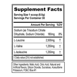 BCAA 5000 30 Servicios Sabor Mora Azul 255g Suplemento Polvo