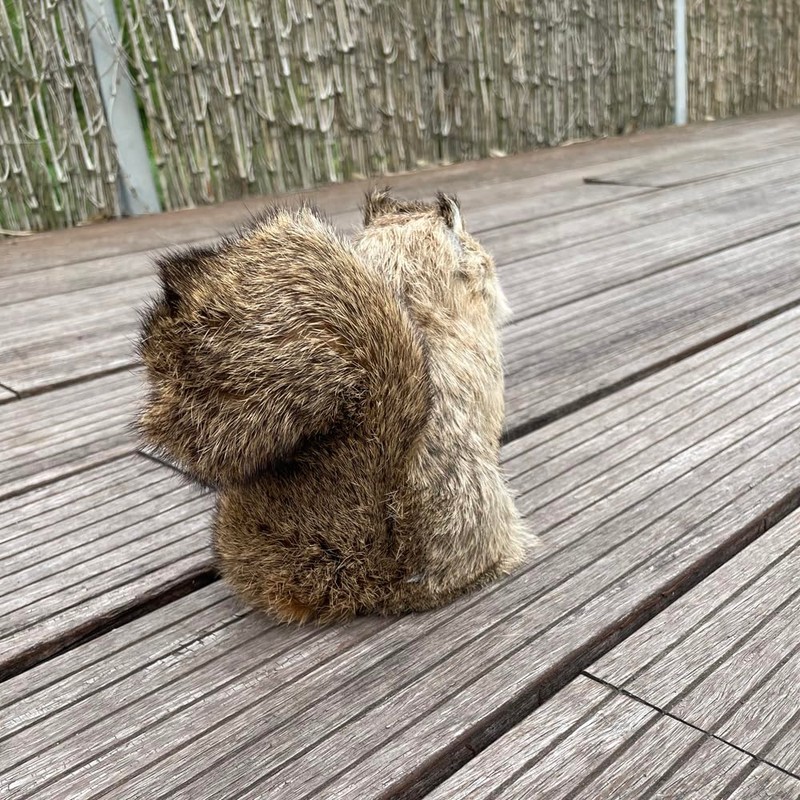 FlyEgg Lovely Squirrel Realistic Figurine for Home Garden Decoration