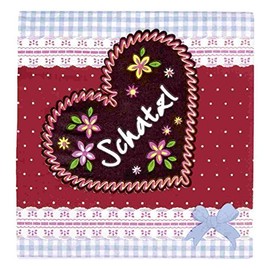 Staedter Schatzl Party and Cocktail Napkins, Red, 20-Piece