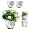 AIMALL 2 Pcs Plastic Transparent Lazy Self-Watering Flowerpot with Hydroponic