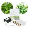 Living Farm LFS-096-1 Hydroponic Cultivation Herbs, Mint and Lemon Balm,