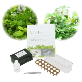 Living Farm LFS-096-1 Hydroponic Cultivation Herbs, Mint and Lemon Balm, Seedling Making Kit (with seeds), Refreshing Herb Set! Hydroponic Cultivation Kit for Making Durable Seedlings from 2 Kinds of Herbs by Hydroponics