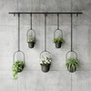 Umbra Triflora Hanging Planter for Window, Indoor Herb Garden, Set
