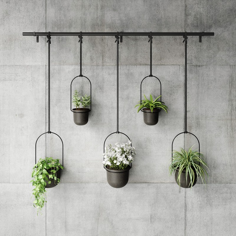 Umbra Triflora Hanging Planter for Window, Indoor Herb Garden, Set