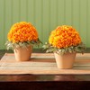 FloraCraft FloraFōM Half Ball 1.9 Inch x 3.8 Inch Green