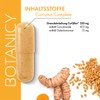 BOTANICY Curcuma Complete with Fenugreek - Contains 95% of all