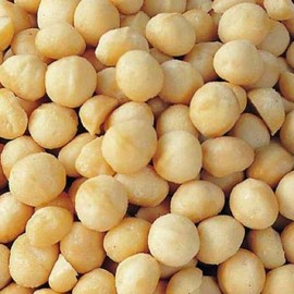 Raw Natural Macadamia Nuts Unsalted (1 Lb.) - Natural Macadamias - Compares to Organic Macadamia Nuts - Vegan & Keto Friendly - Farm Fresh Nuts Brand