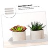 VICASKY 3pcs Plastic Flowerpot Water Trays Rectangular Potted Plant Bases